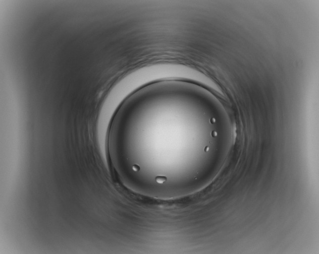 X0000113370508200909151402