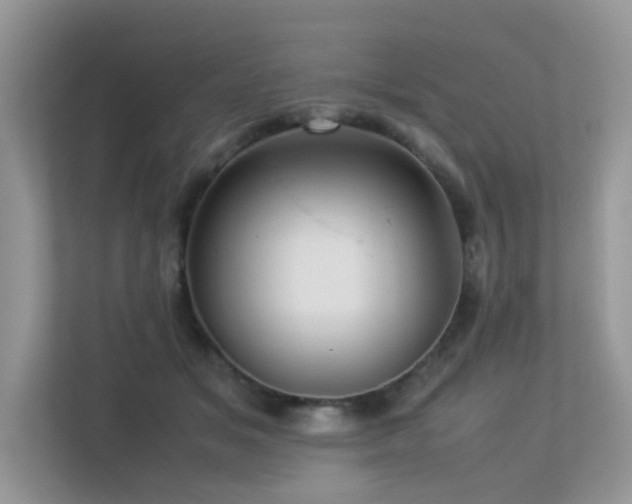 X0000113370509200909151402