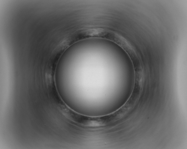 X0000113370510200909151402