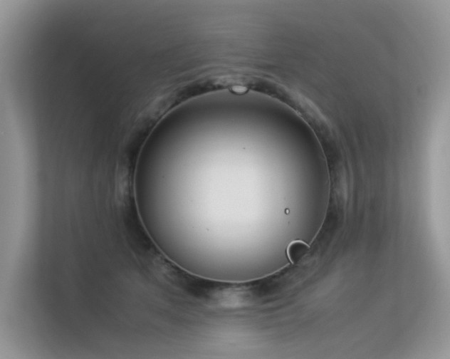 X0000113370513200909151402