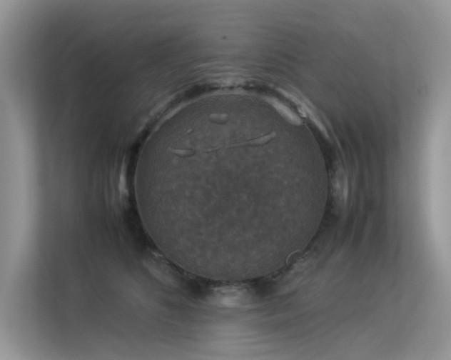 X0000113370516200909151402