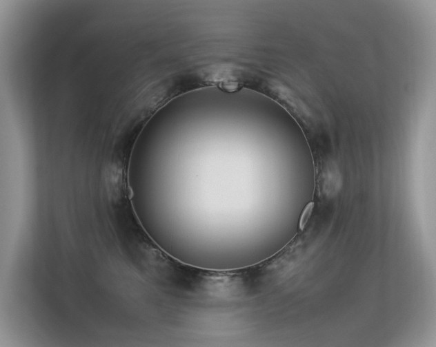 X0000113370521200909151402