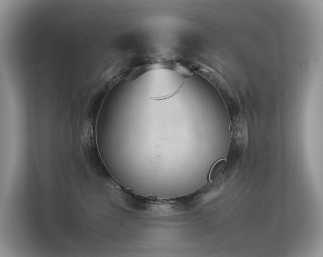 X0000113370523200909151402