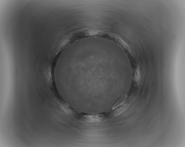 X0000113370524200909151402