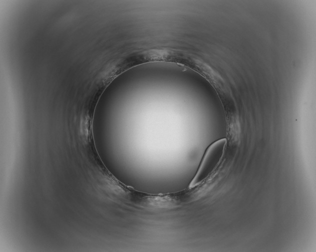 X0000113370525200909151402