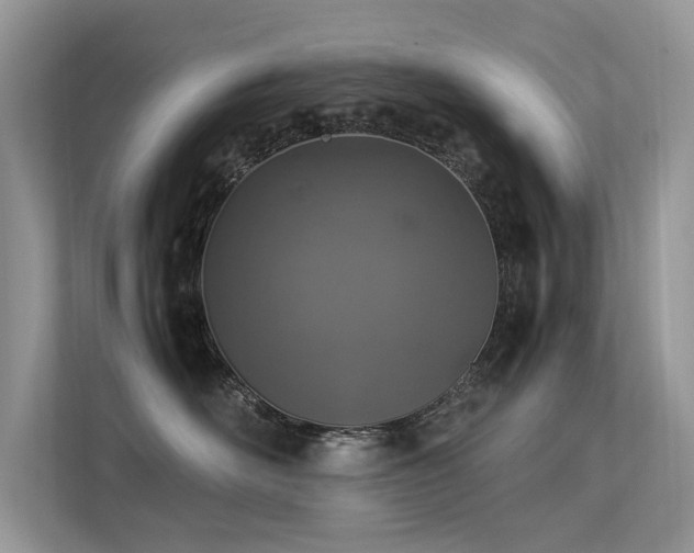 X0000113370526200909151402