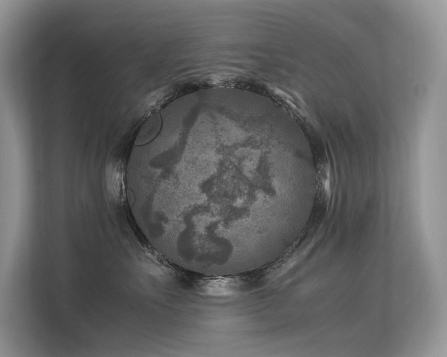 X0000113370527200909151402