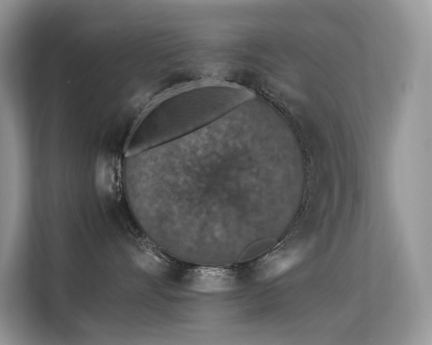 X0000113370528200909151402