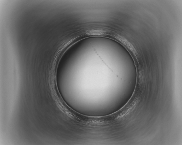 X0000113370529200909151401