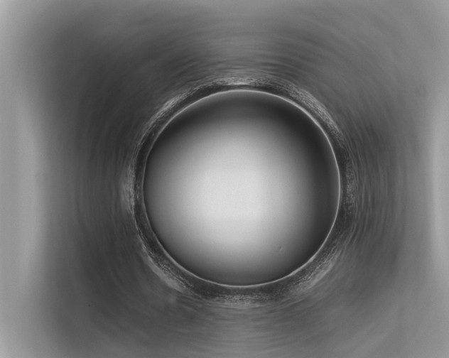 X0000113370530200909151401