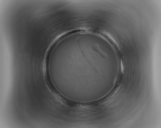 X0000113370531200909151401