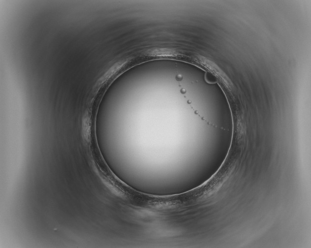 X0000113370533200909151401