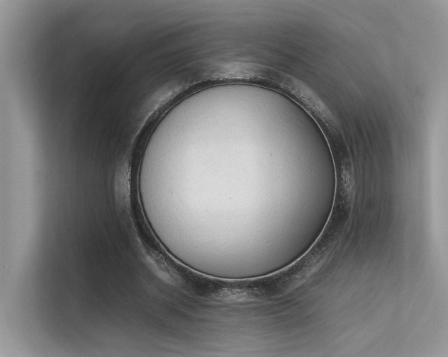 X0000113370534200909151402