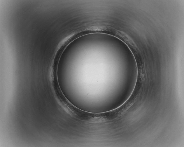 X0000113370536200909151402
