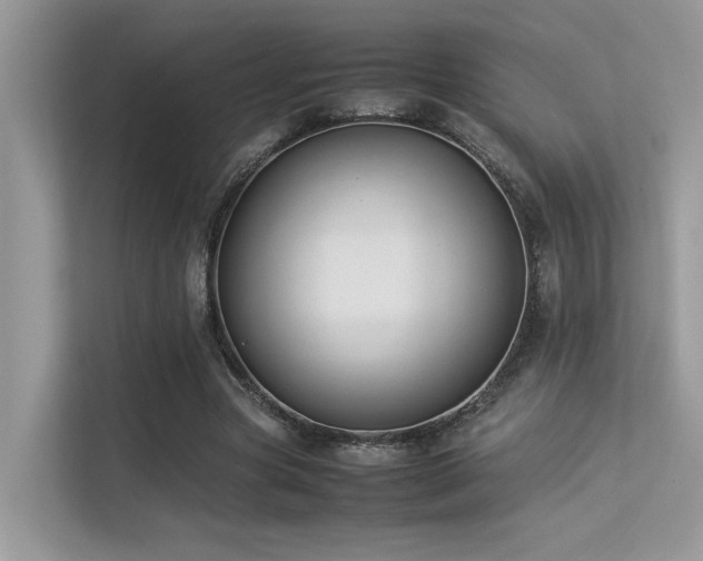X0000113370537200909151402