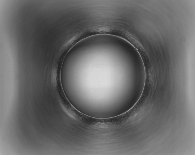 X0000113370538200909151402