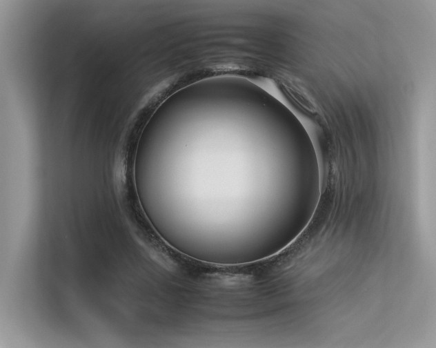 X0000113370539200909151402