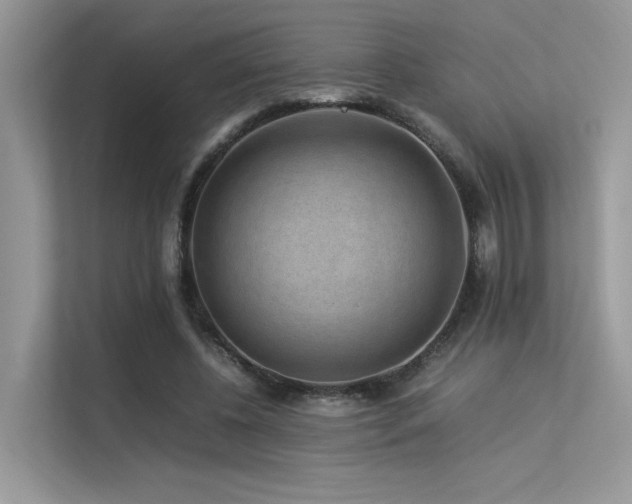 X0000113370540200909151402