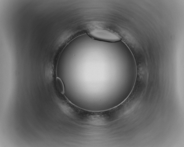 X0000113370544200909151402