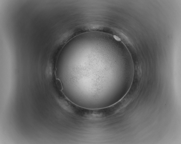 X0000113370546200909151402