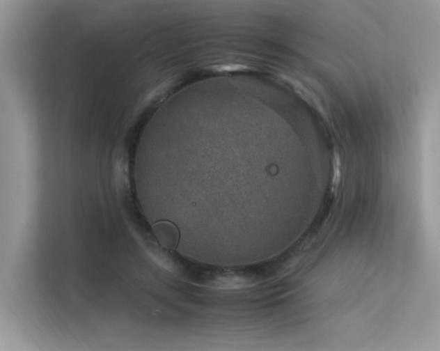 X0000113370547200909151402