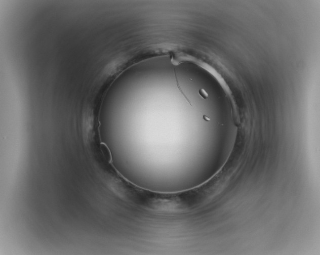 X0000113370548200909151402