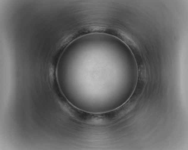 X0000113370550200909151402