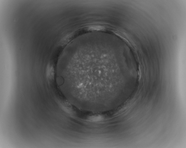 X0000113370551200909151402