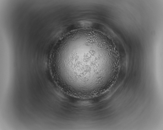 X0000113370553200909151402