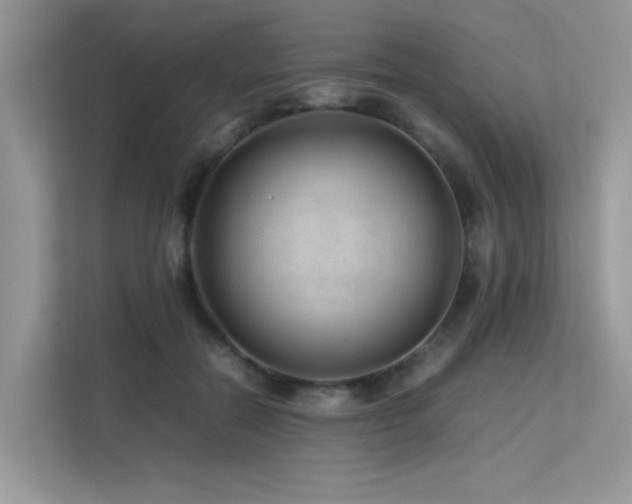 X0000113370554200909151402