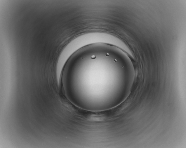 X0000113370556200909151402
