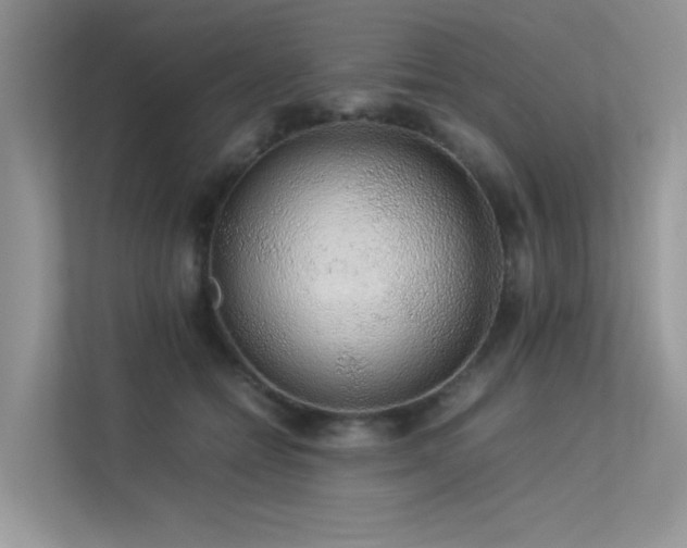 X0000113370558200909151402