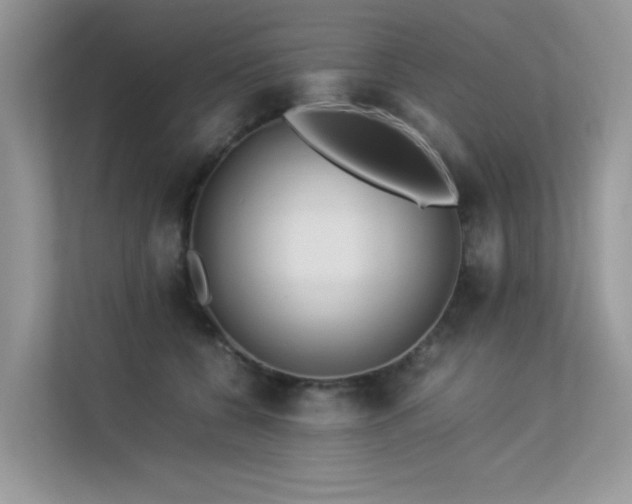 X0000113370560200909151402