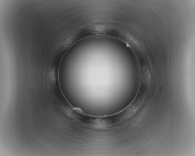 X0000113370562200909151402