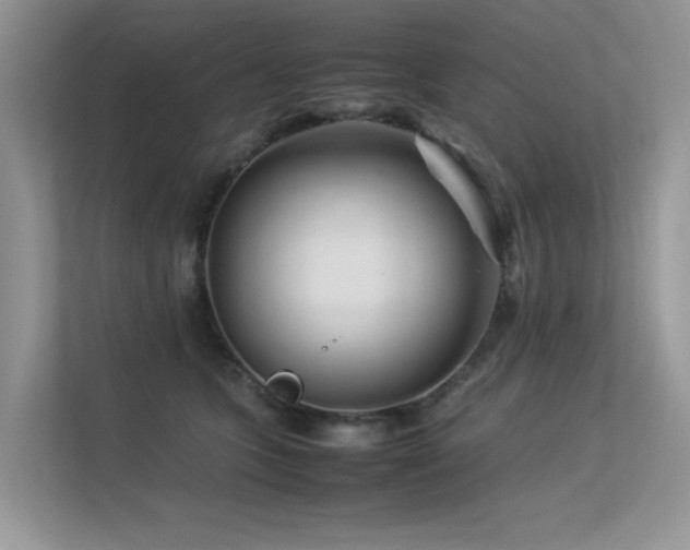 X0000113370563200909151402