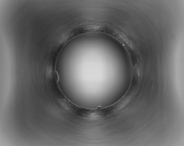 X0000113370564200909151402