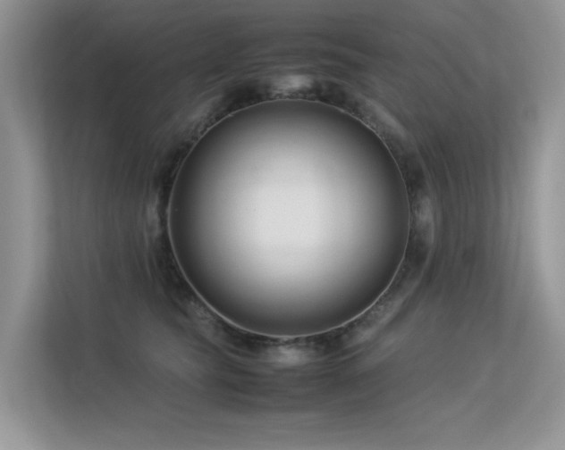 X0000113370565200909151402