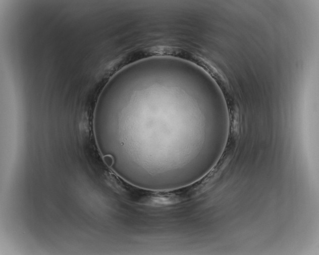 X0000113370569200909151402
