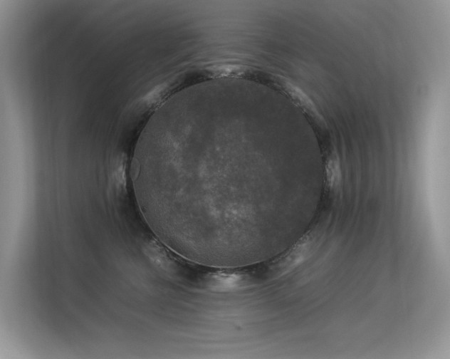 X0000113370570200909151402