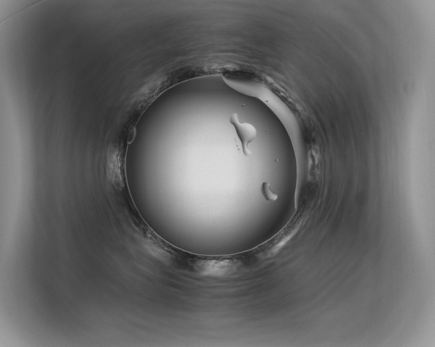 X0000113370575200909151402