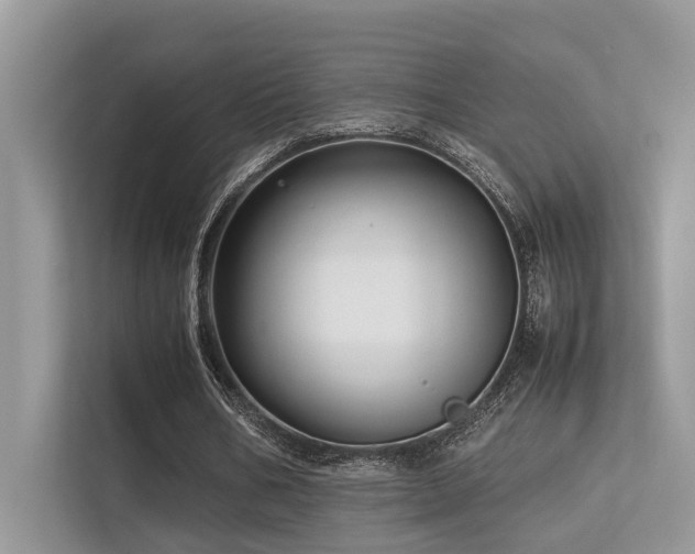 X0000113370578200909151401