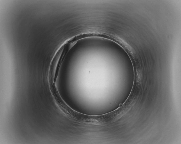 X0000113370580200909151401