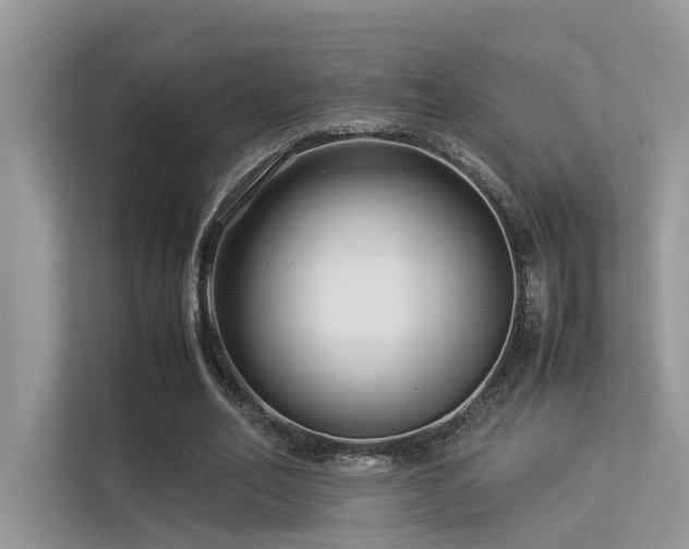 X0000113370582200909151401