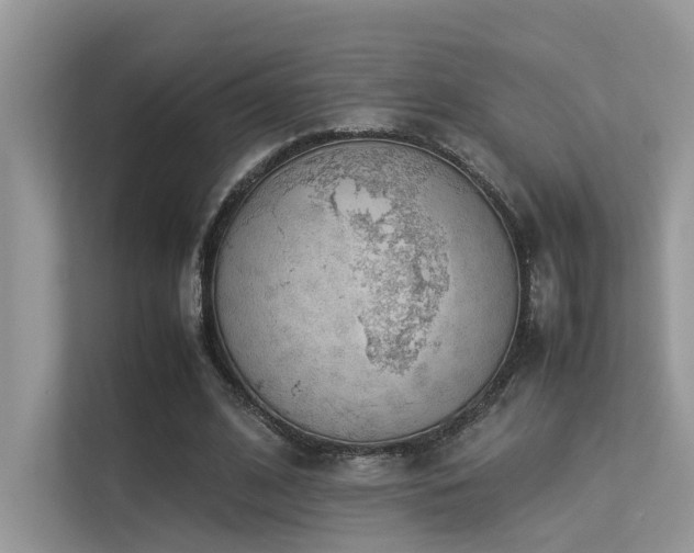 X0000113370584200909151401