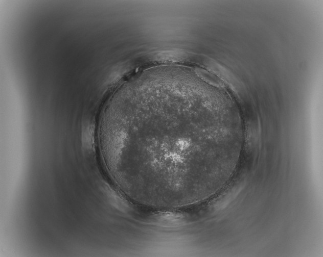 X0000113370585200909151401