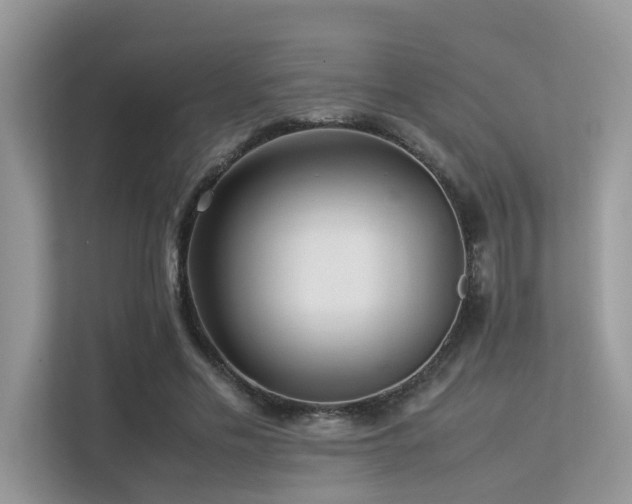 X0000113370589200909151401
