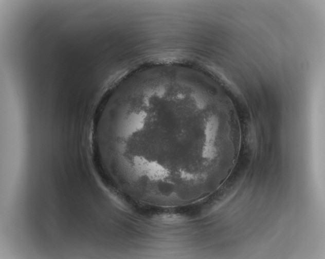 X0000113370590200909151401