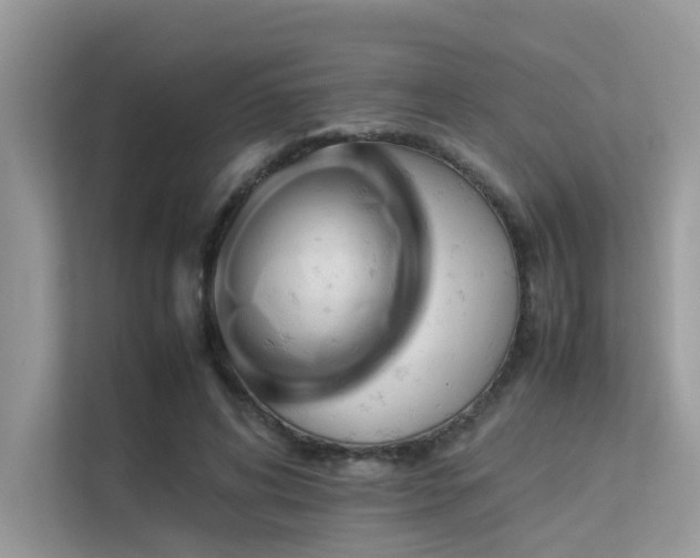 X0000113370592200909151401