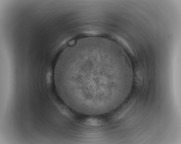 X0000113370596200909151401
