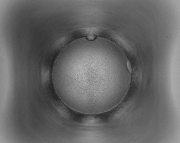 X0000113370597200909151401